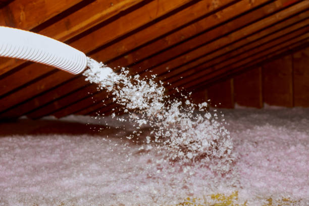 Best Energy-efficient Insulation  in Hollidaysburg, PA