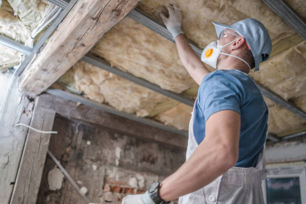 Best Affordable Insulation Services  in Hollidaysburg, PA