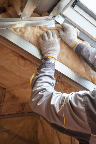 Best Insulation Contractors for Homes  in Hollidaysburg, PA