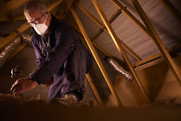 Best Professional Insulation Contractor  in Hollidaysburg, PA